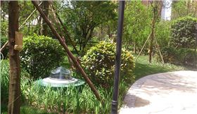 鉆石形采光系統(tǒng) 鉆石形采光系統(tǒng)